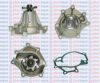 AQUAPLUS 85-8025 Water Pump
